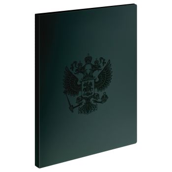 Папка с 30 вкладышами СТАММ 